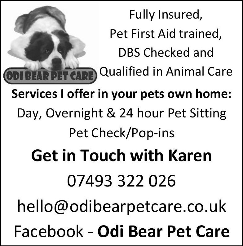 Odi Bear Pet Care